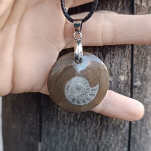 colgante de amonite fósil natural pulido